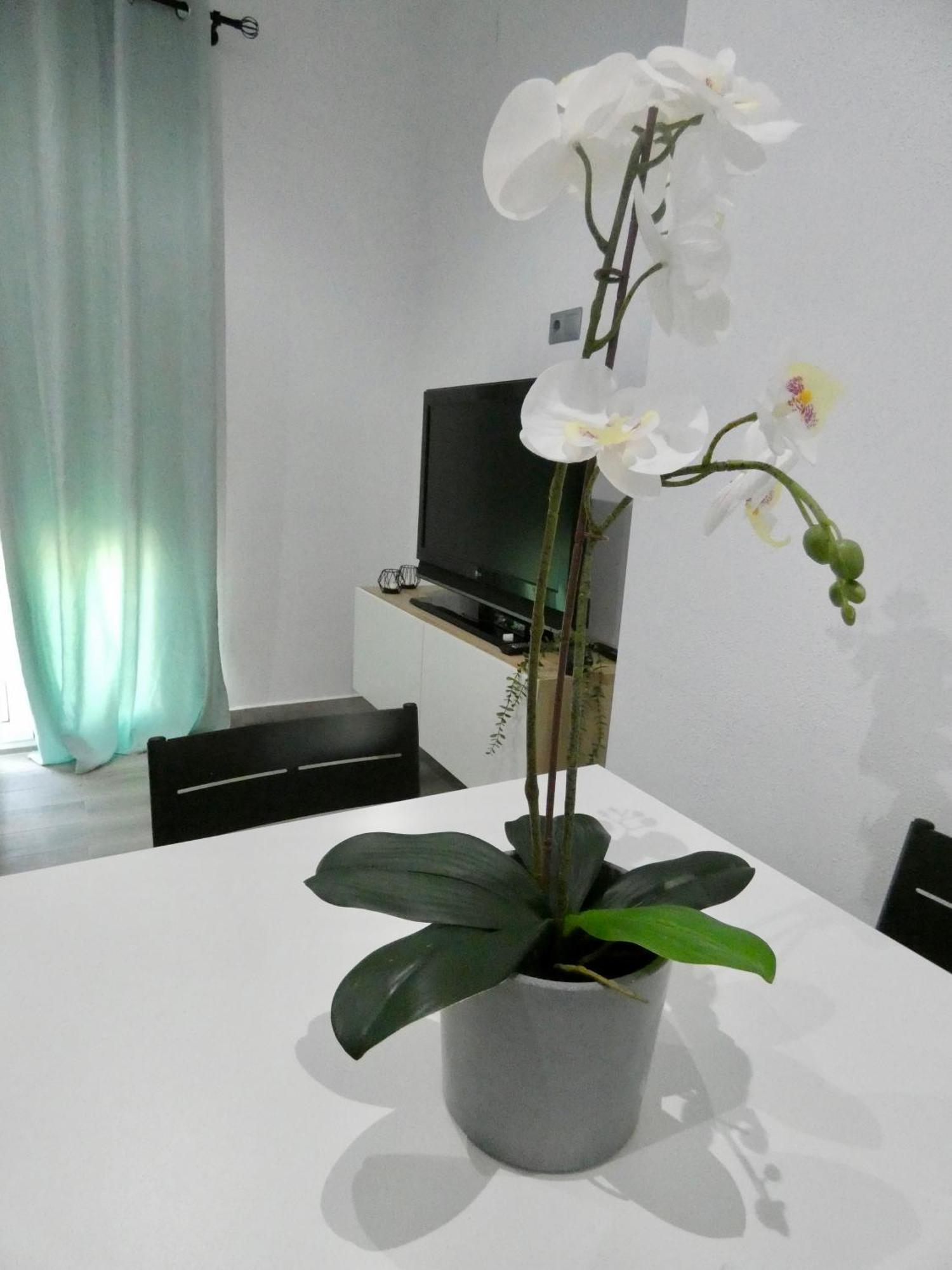 Casa Monturrio Apartment Могер Екстериор снимка